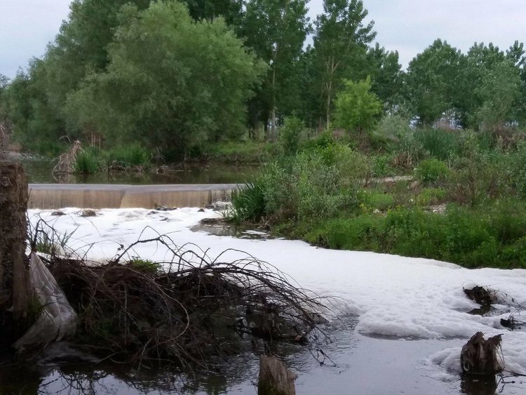 Смрад, бяла пяна и умряла риба се носи по река Мечка