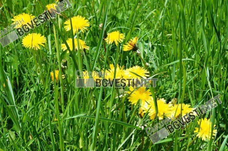 Слънчево време за днес, само на отделни места е възможно слабо да превали
