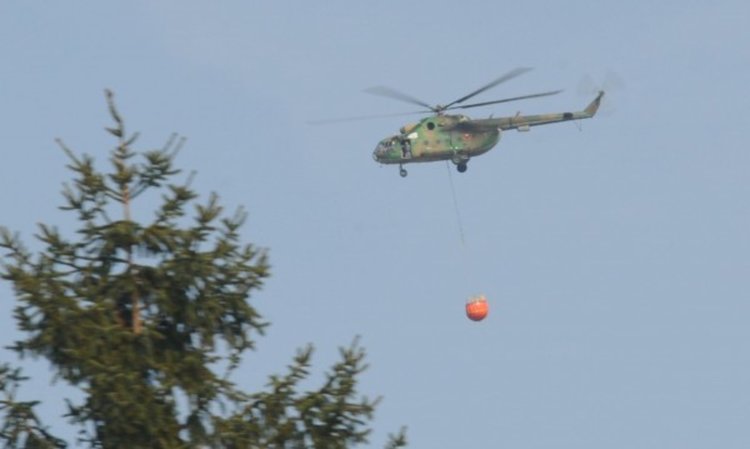 За втора поредна година разхвърлят ваксини против бяс над Хасковско
