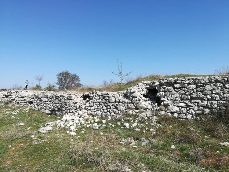 "Разходката на Джейн" в Хасково тази година ще е по ул. „Балатон“