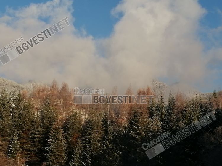 Облачно и с превалявания от дъжд и сняг в неделя
