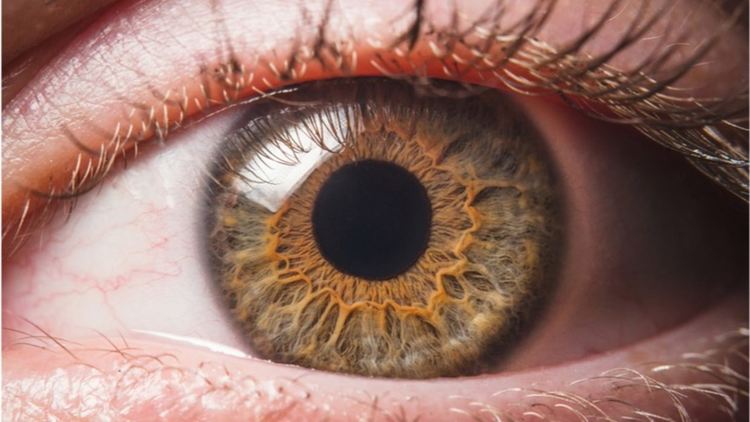 Експерименталната терапия, инжектирана в едното око, неочаквано подобрява зрението в другото