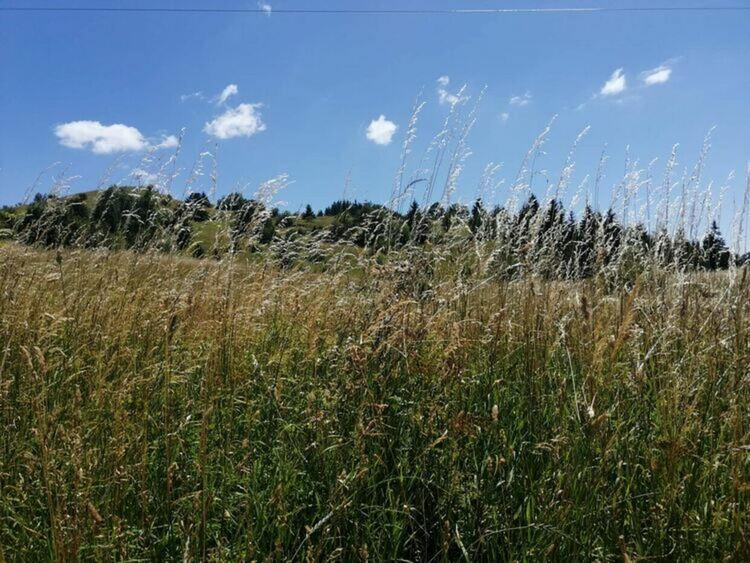 Днес ще е предимно слънчево, но след обяд ще се заоблачи