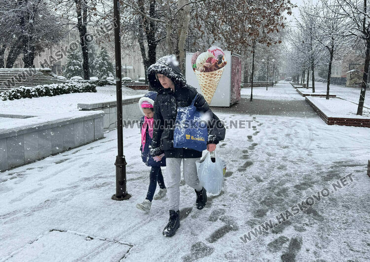 Снеговалежът продължава и в понеделник