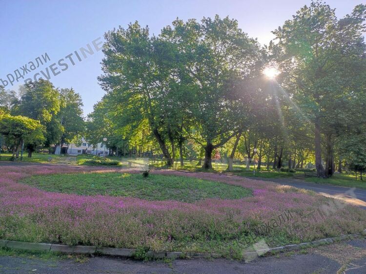 Слънчево,жълт код за опасни горещини за Кърджали