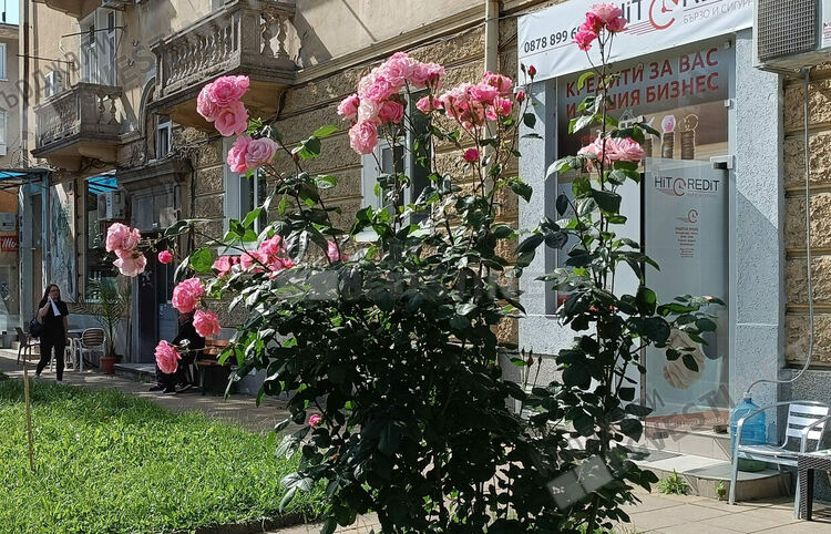    Предимно слънчево и тихо време днес в Кърджали