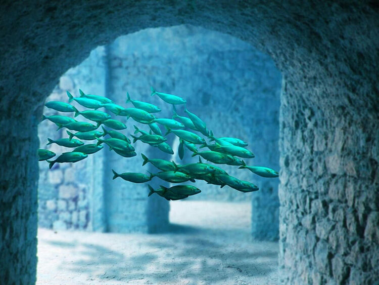  Нова заплаха за океана от глобалното затопляне