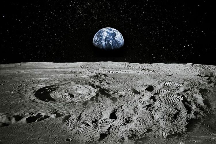 Космически успех: Учени отгледаха нахут в почва, сходна с реголита на Луната